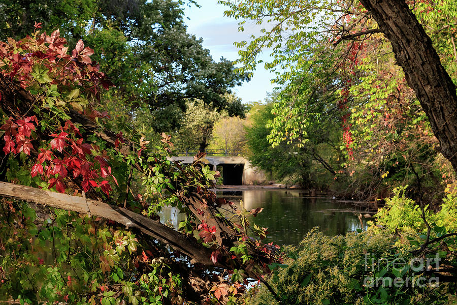 Old Bridge in the Fall Photograph by Richard Smith