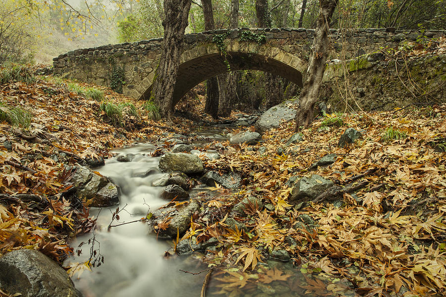 Nature Photograph - Old bridge by Mike Santis