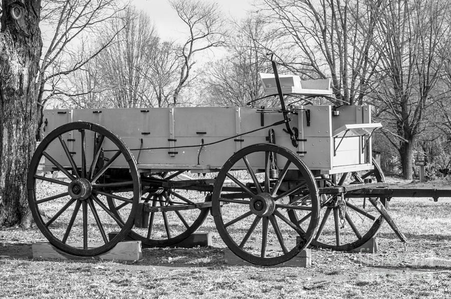 Old buckboard in BW Photograph by Imagery by Charly