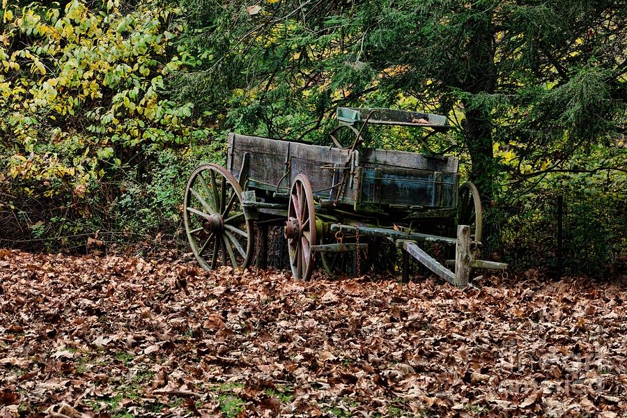 Old Buckboard Wagon Photograph by Paul Ward