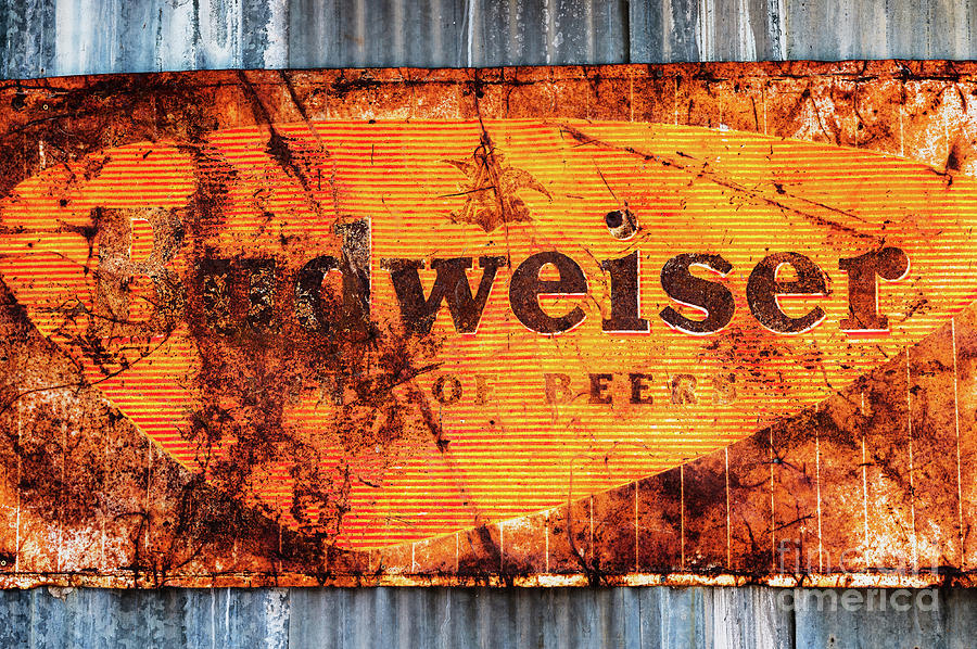 Old Budweiser Sign Photograph by M G Whittingham