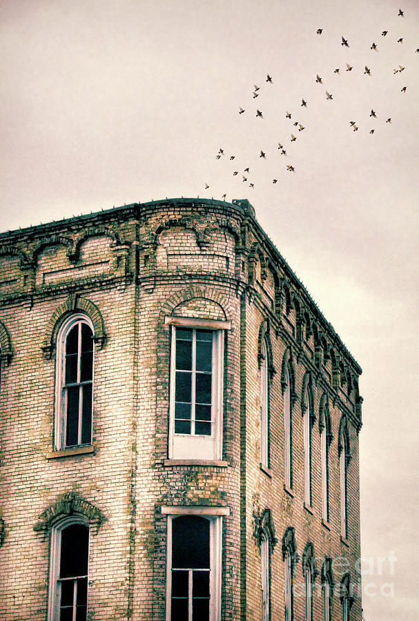 Old Building Photograph by Jill Battaglia