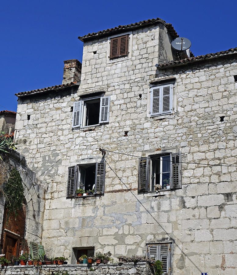 Old Building With A Dog In The Window In Split Croatia Photograph by Rick Rosenshein