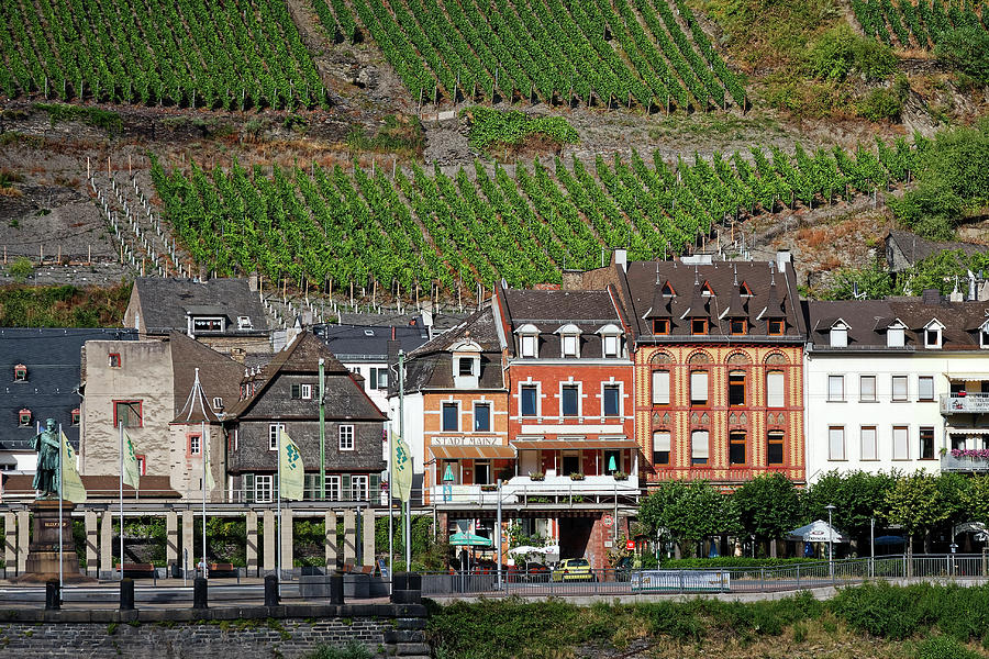Old Buildings and Vineyards Photograph by Sally Weigand