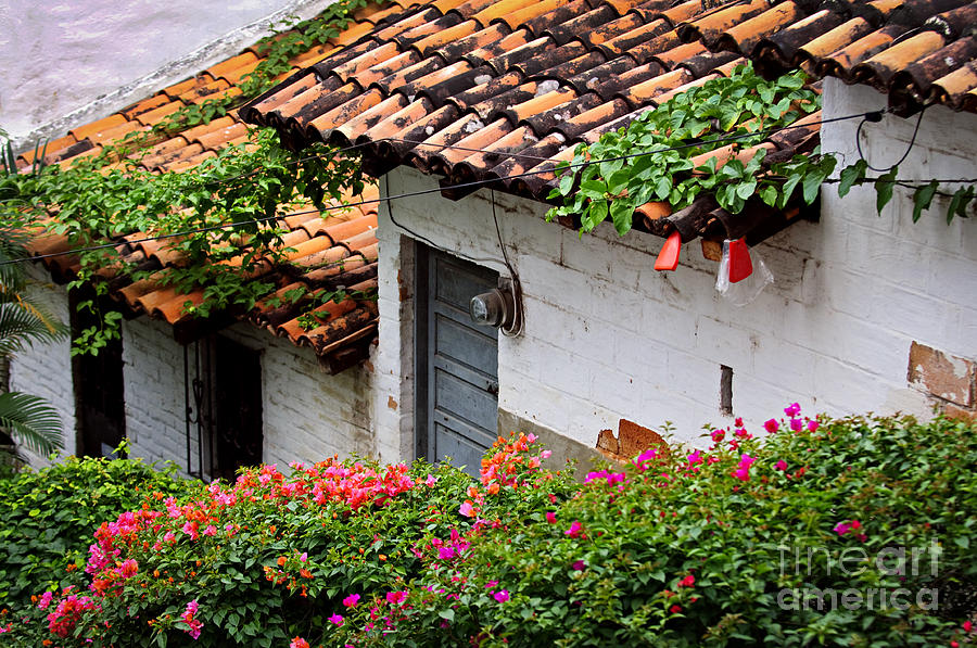 Flower Photograph - Old buildings in Puerto Vallarta Mexico by Elena Elisseeva