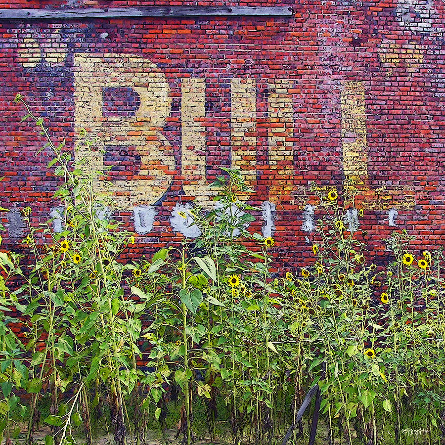Tobacco Sign Photograph - Old Bull Durham Sign - Delta by Rebecca Korpita