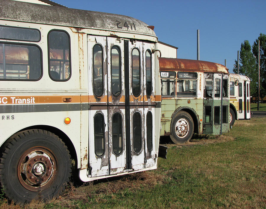 Old Buses - Final Resting Place Photograph by Helaine Cummins