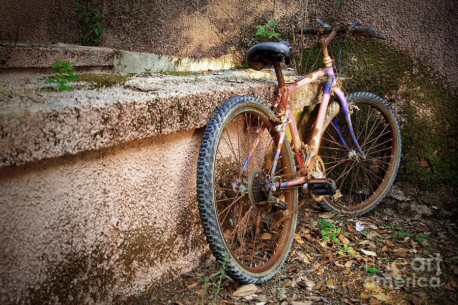 Old Bycicle Photograph by Carlos Caetano