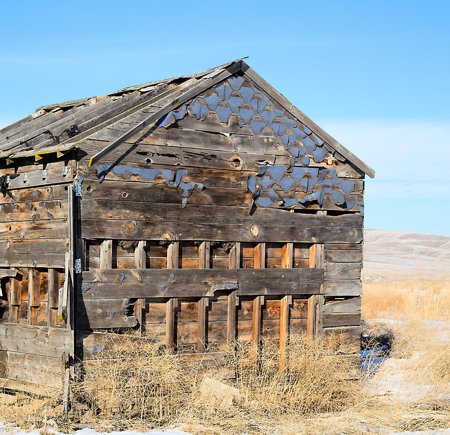 Old Cabin in the desert Photograph by Dart Humeston
