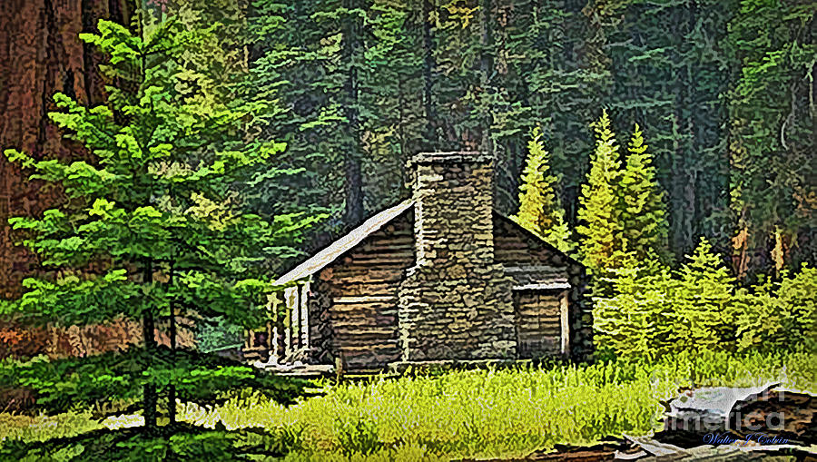 Old cabin in the Redwoods Digital Art by Walter Colvin