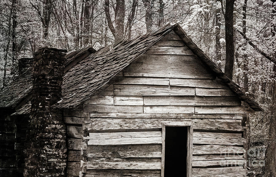 Old cabin in the woods Photograph by Izet Kapetanovic