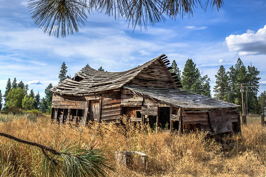 Old Cabin near Spokane Photograph by Brad Stinson