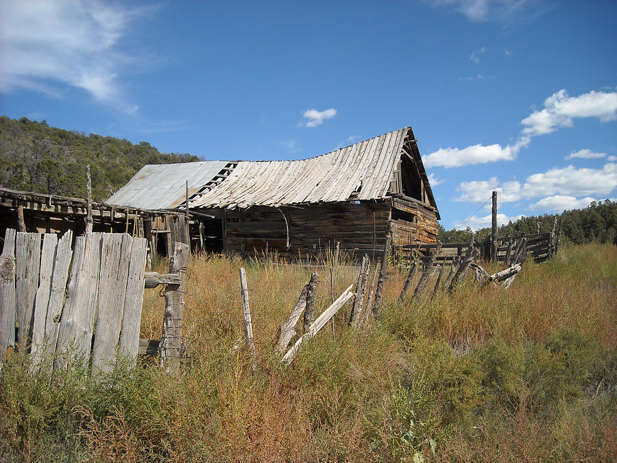 Old Cabin Photograph by Randy Rhodes - Fine Art America