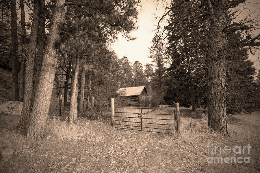 Old Cabin Photograph by Steve Triplett
