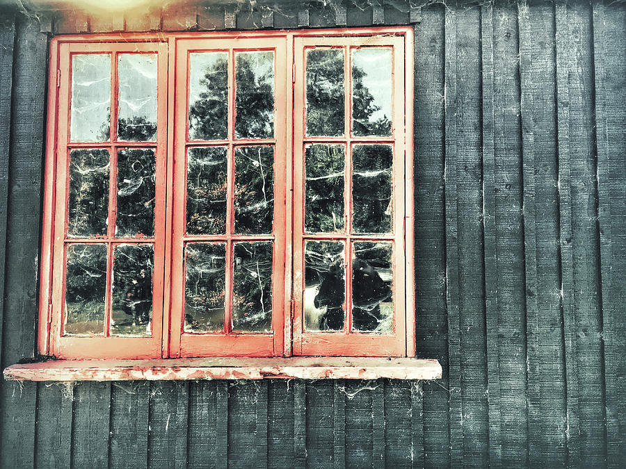 Old cabin window Photograph by Tom Gowanlock