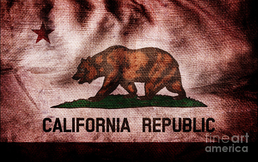 Old California Flag Photograph by Jon Neidert