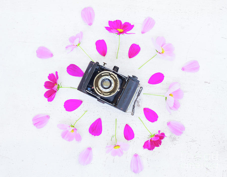 Old Camera and Flowers Photograph by Anastasy Yarmolovich