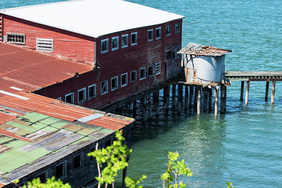 Old Cannery Photograph by Tom Cochran