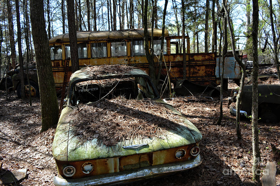 Old Car City Photograph by FineArtRoyal Joshua Mimbs