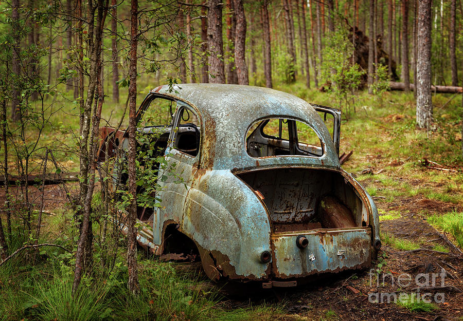 Transportation Photograph - Old car in forest by Sophie McAulay