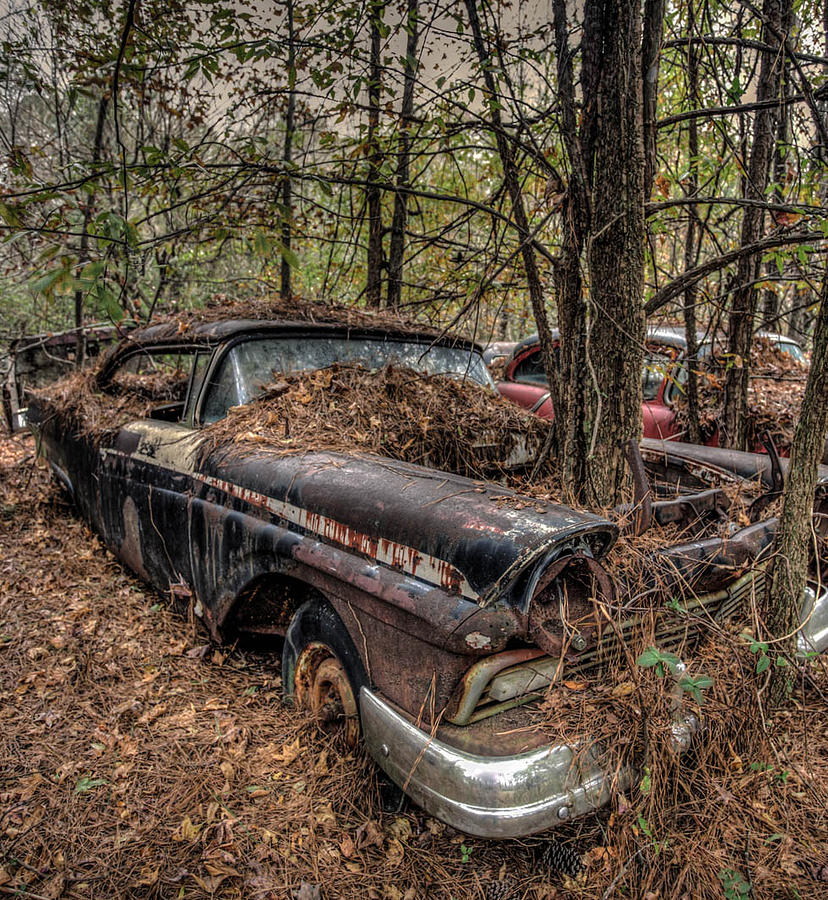 Old Car In The Woods Photograph by Clifford Loehr