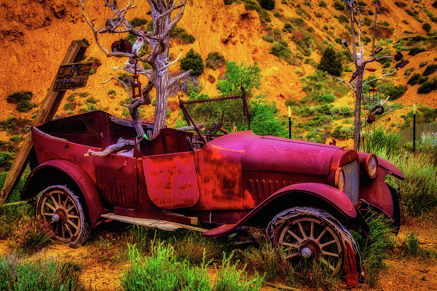 Old Car Rusting Away Photograph by Garry Gay