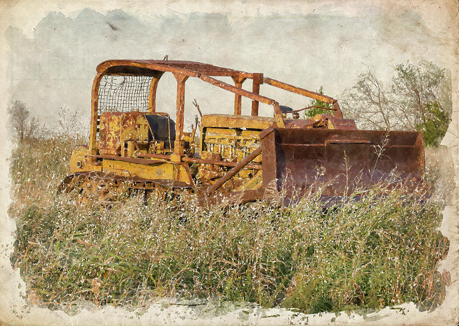 Old Cat Watercolor Photograph by Ricky Barnard