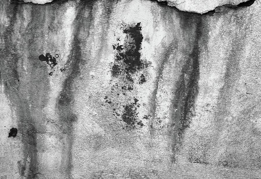 Old Cement Wall BW  Photograph by Lyle Crump
