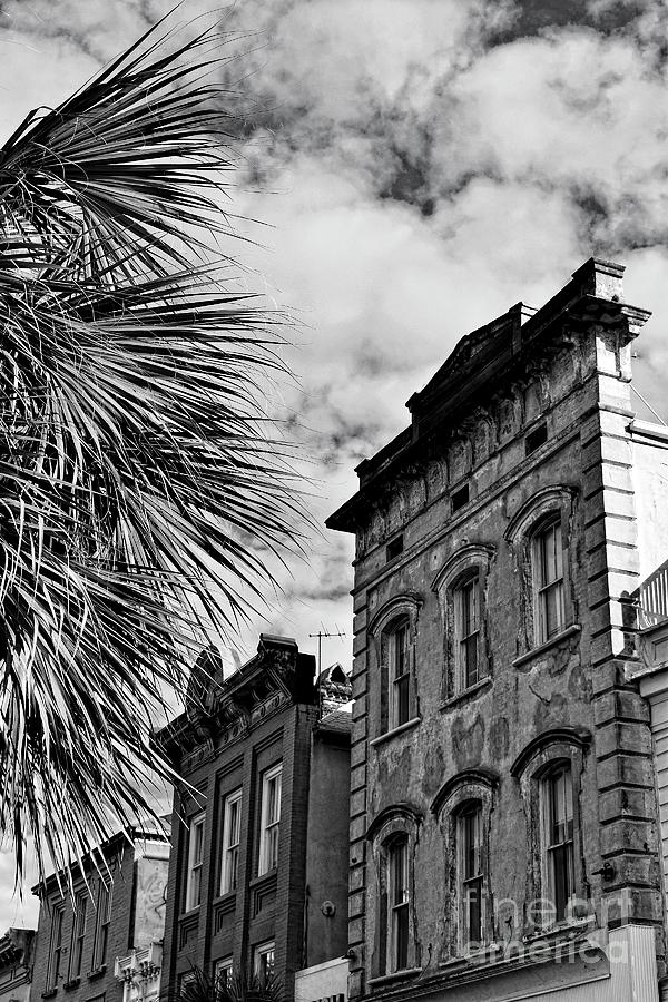 Old Charleston Bnw Photograph by Skip Willits