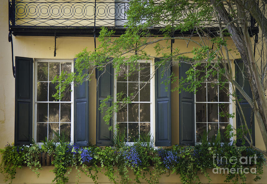 Old Charleston Window  Photograph by David Waldrop