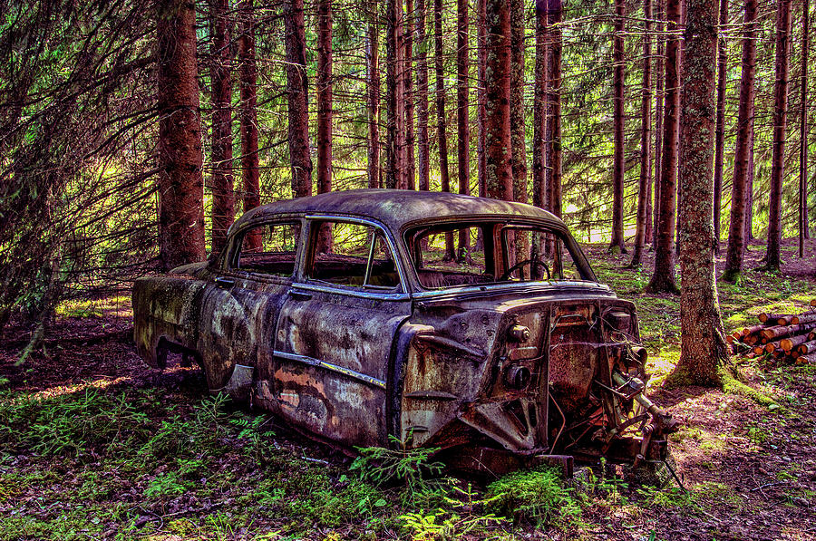 Old Chevrolet in the forest Photograph by Anders Kustas