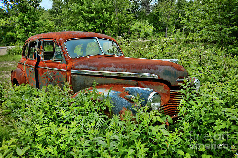 Old Chevrolet Suicide Doors Photograph by Alana Ranney