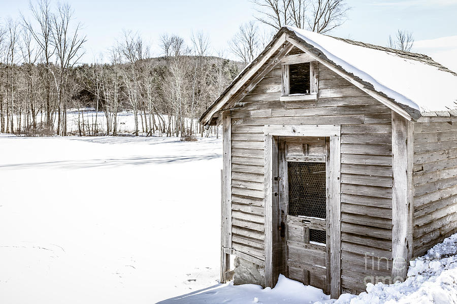 Old Chicken Coop in Winter Photograph by Edward Fielding