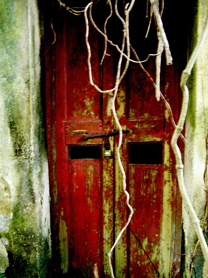 Architecture Photograph - Old Chinese Door Vines Print Card by Kathy Daxon