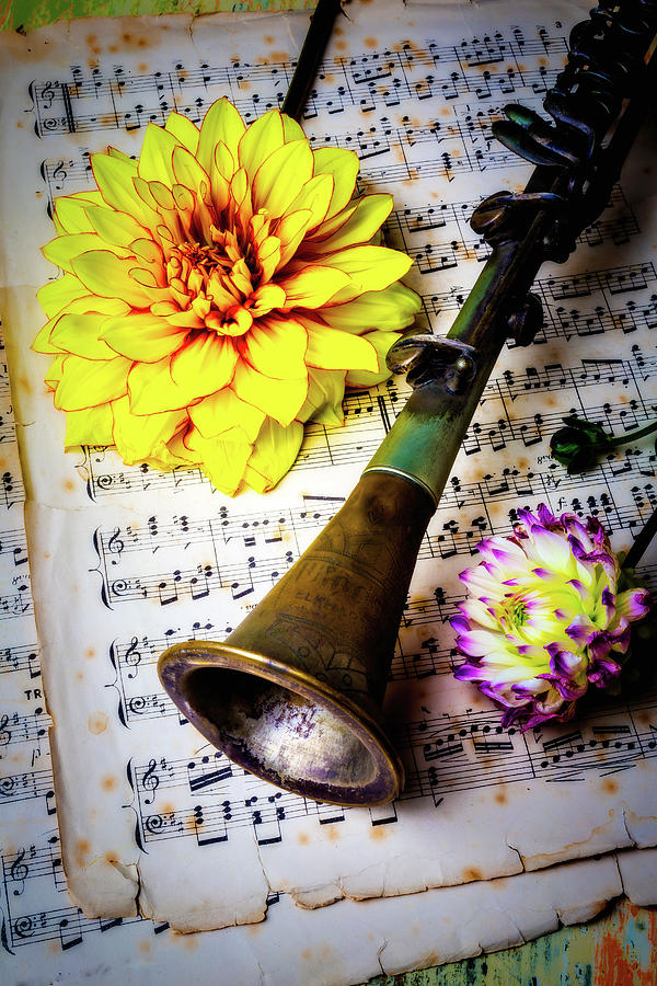 Old Clarinet And Dahlias Photograph by Garry Gay