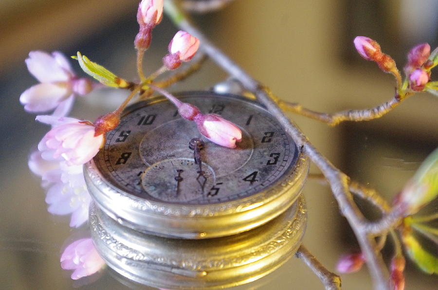 Old Clock With Flower Photograph by Gerald Kloss