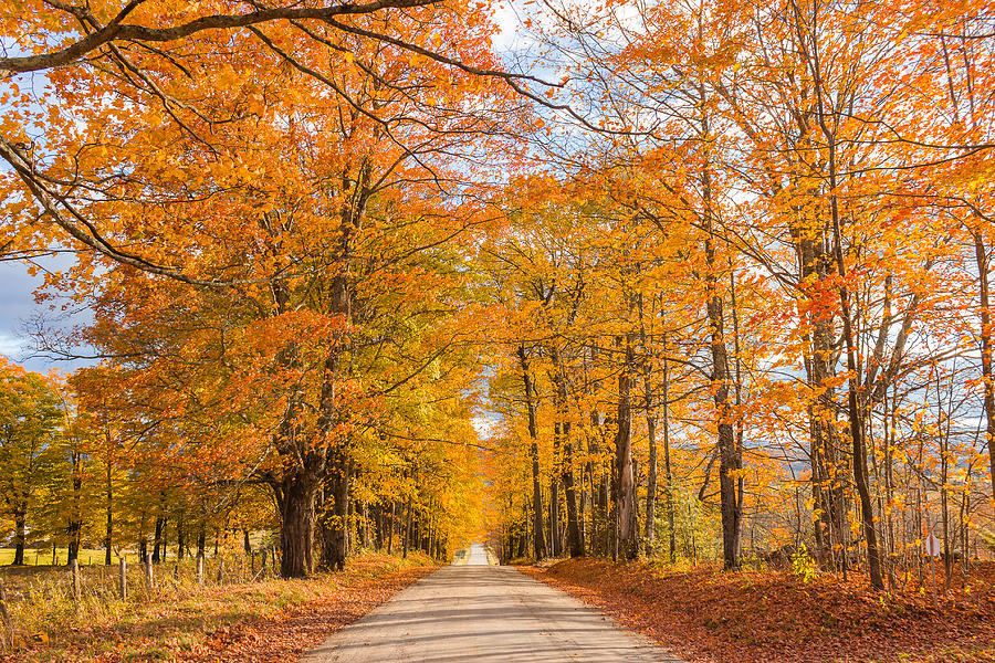 Old Coach Road Autumn Photograph by Tim Kirchoff