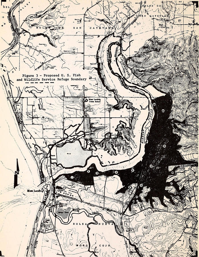 Old coastal map of California Photograph by Frances Lewis