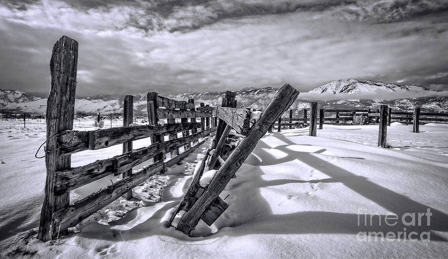 Old Corral Fence Photograph by Dianne Phelps