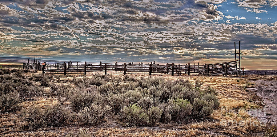 Old Corral Photograph by Robert Bales