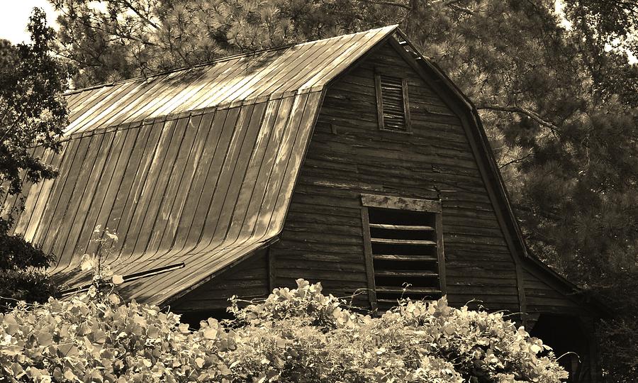Old Country Barn Photograph by Eileen Brymer