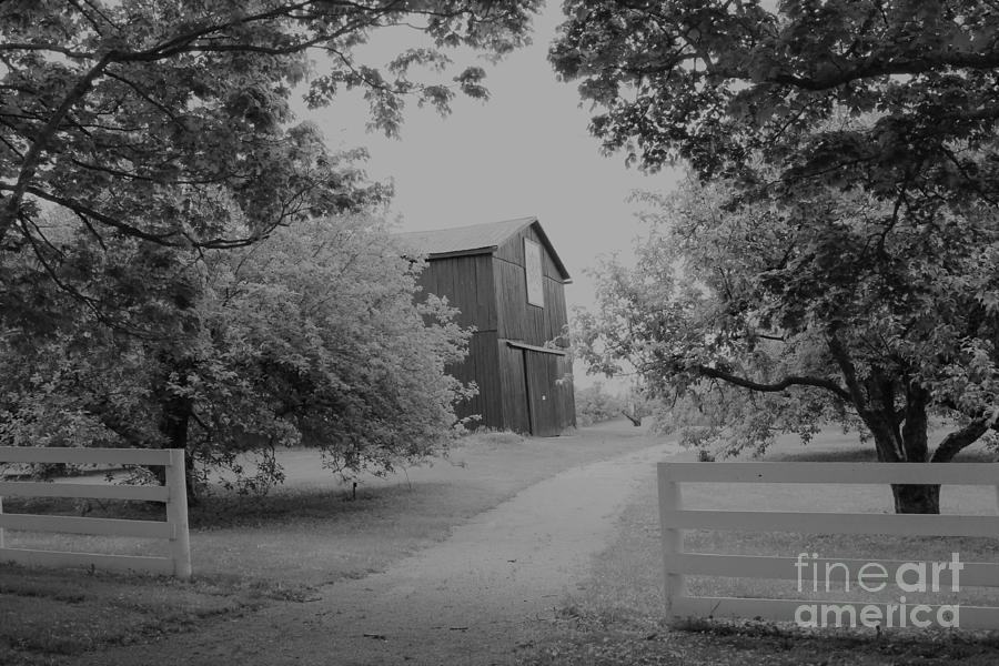 Old Country Barn Photograph by Carol Riddle