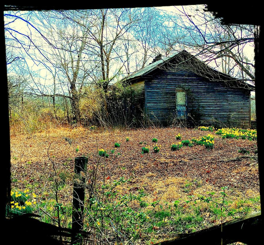 Old country home Photograph by Adrian Amburn - Fine Art America