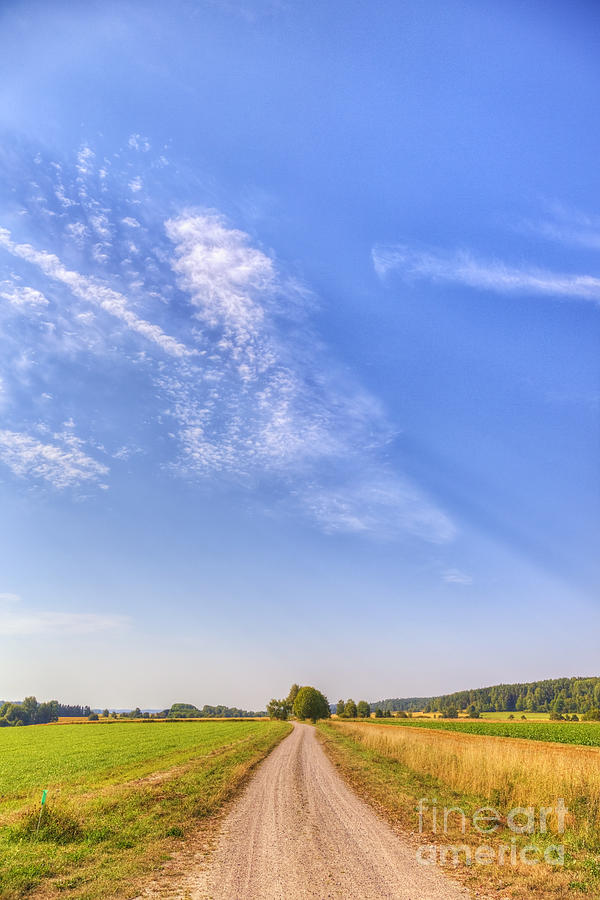 Nature Photograph - Old Country Road by Veikko Suikkanen