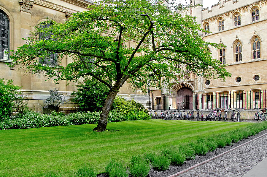 Old court. Clare College. Photograph by Elena Perelman