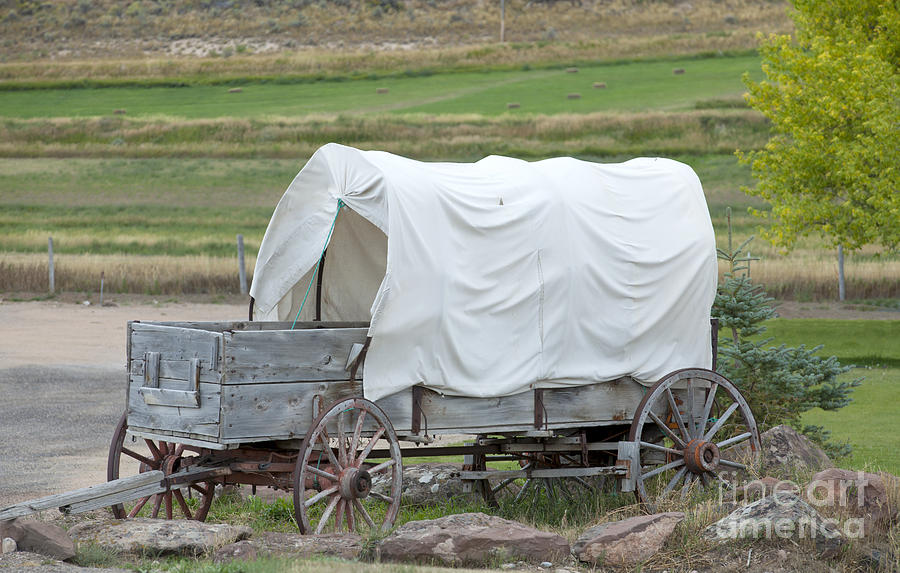 Old Covered Wagon Photograph by Anthony Totah