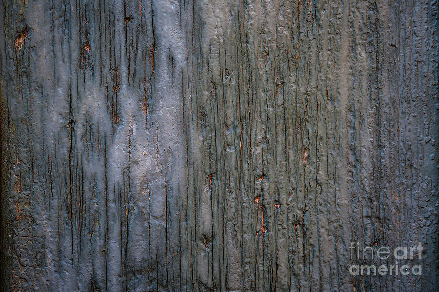 Old cracked wood background Photograph by Elena Elisseeva