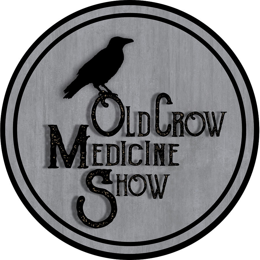 Music Painting - Old Crow Medicine Show Sign by Little Bunny Sunshine