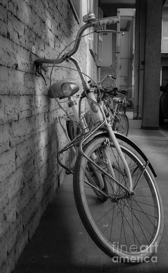 Old Cycle Photograph by Michele Flaminio Pixels