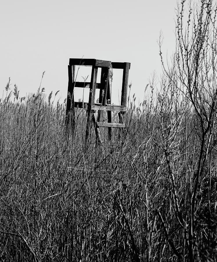 Old Deer Stand Photograph by Susan Derrickson Hanna Pixels